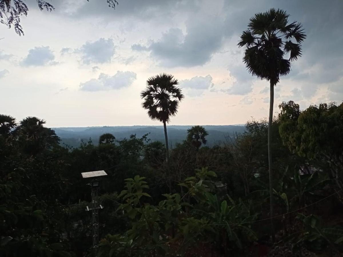 Honey Hives Kuzhittura Luaran gambar